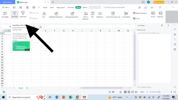 WPS Spreadsheet filter option