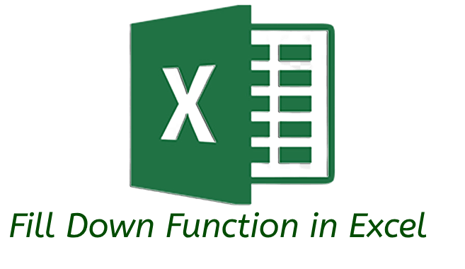 How to Use the Filldown in Excel (EASY)