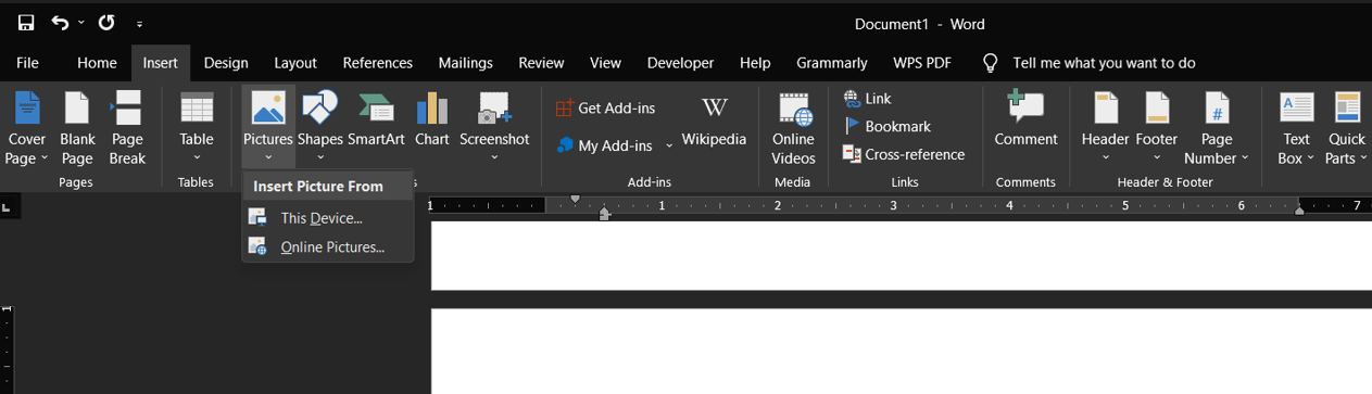 Insert Pictures Option