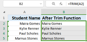 WPS Office autofill handle