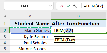 WPS Office trim function text argument
