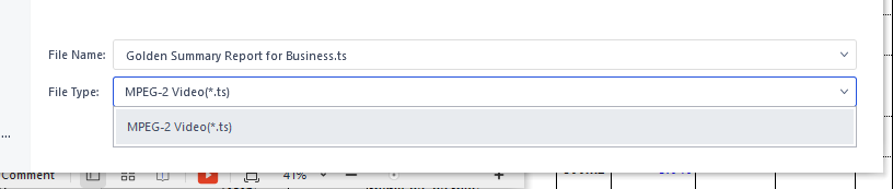 the Video Format drop-down list
