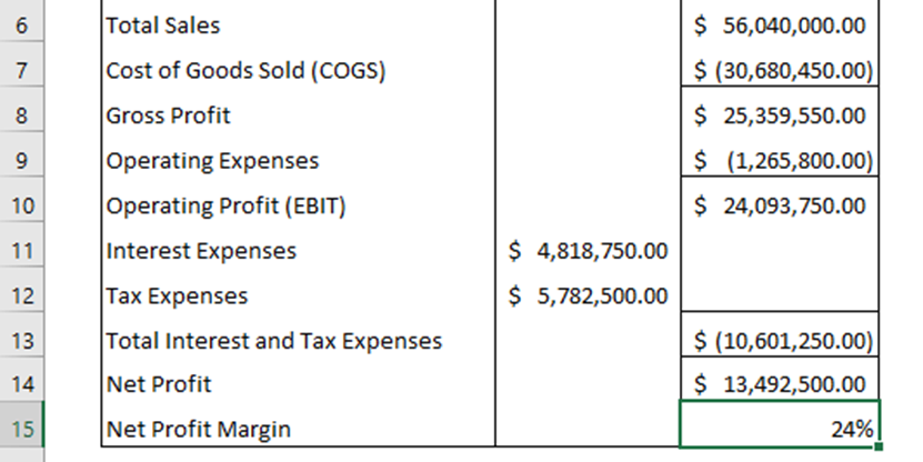  Net Profit Margin as a percentage in Excel