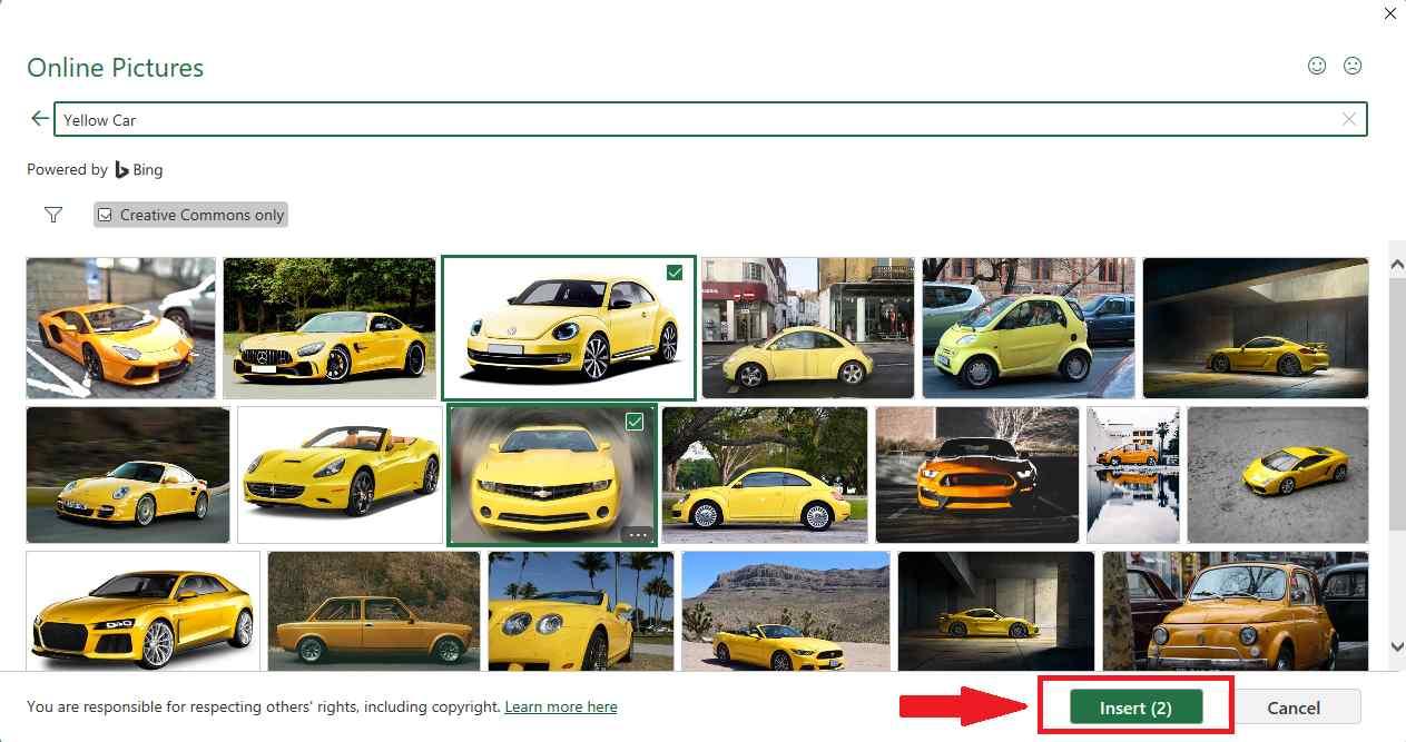Excel insert online picture