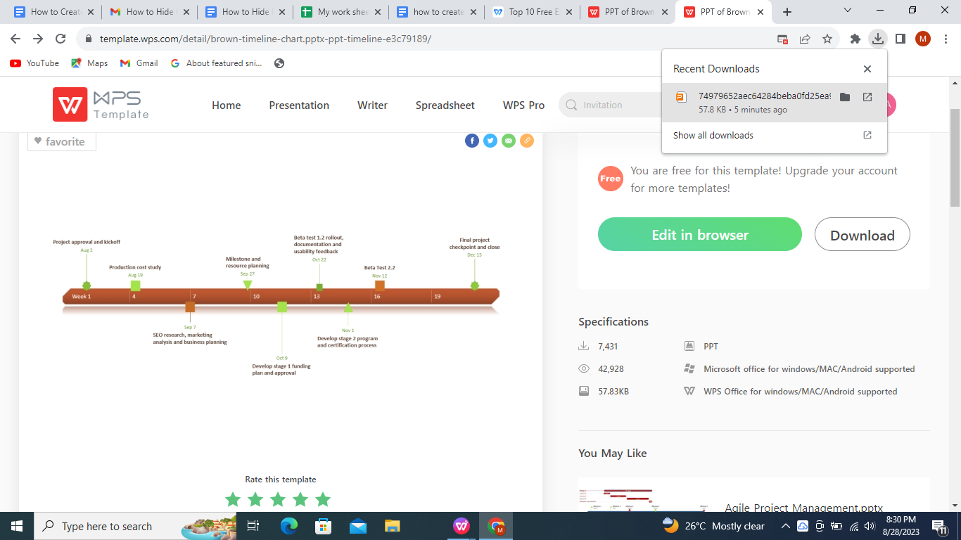 download timeline template from web