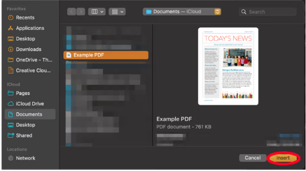 Choose the file and Insert