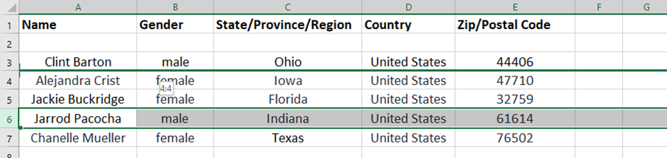 Microsoft Excel file drag