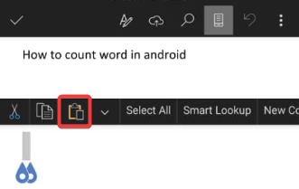Paste button on pop up menu