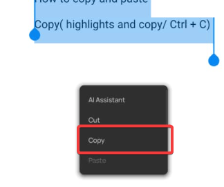 Text highlighted and copy option in the menu