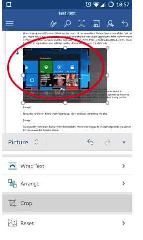 Cropping border appear