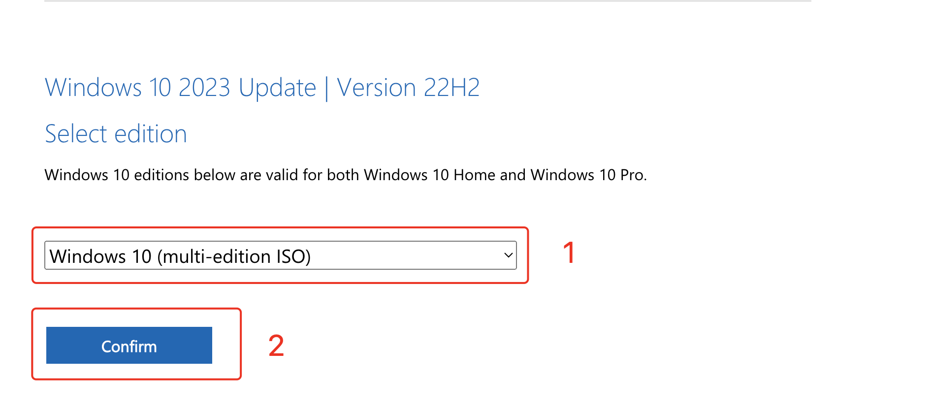 choose windows 10 iso to download
