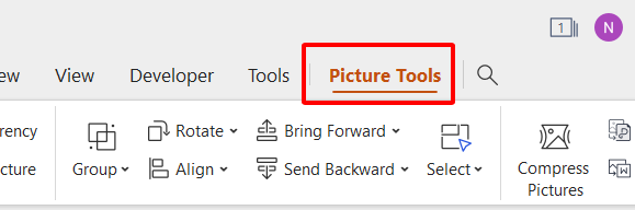 picture tool tab