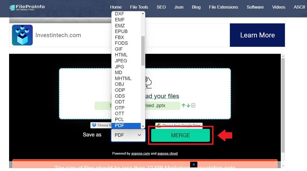 FileProInfo merge presentations