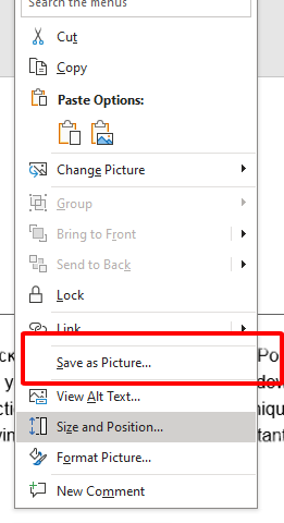  choose 'Save as Picture'