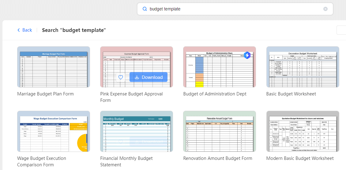  type budget template