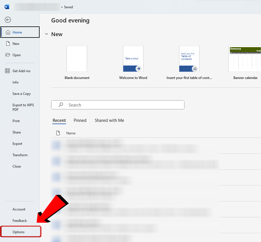 Microsoft Word Word Options