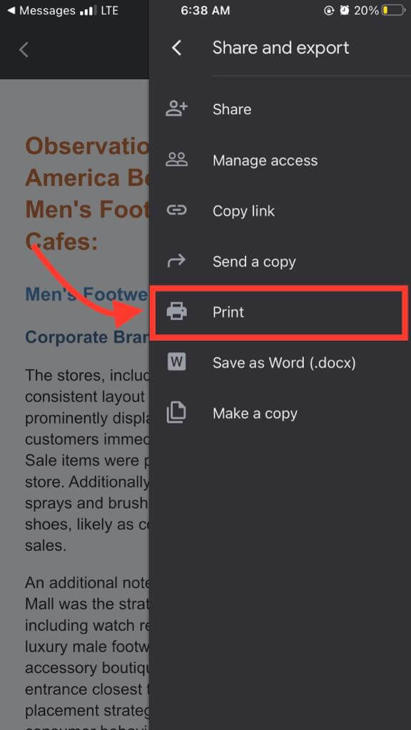 Google Docs iOS print options