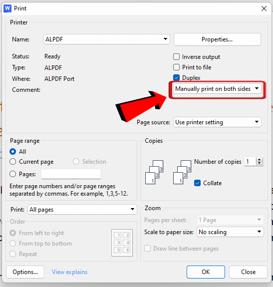 WPS Office Manually print on both sides