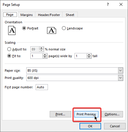  Print Preview Button