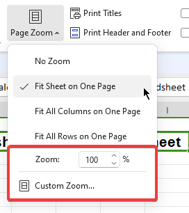 Page Zoom Dropdown, Custom Zoom Option and Zoom percentage