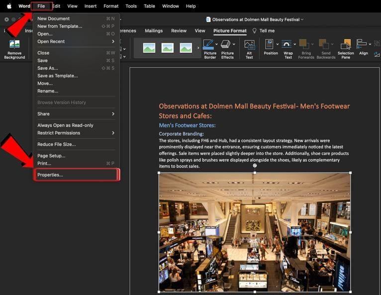  Microsoft Word MacOS File menu