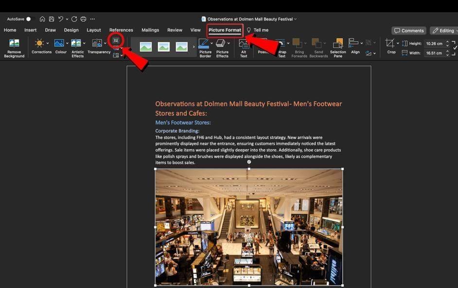 Microsoft Word MacOS Picture tools tab