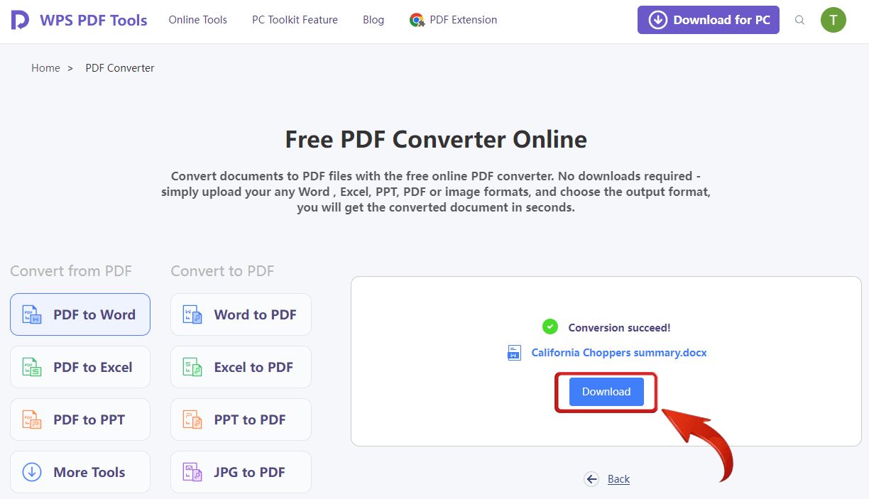 WPS PDF download Word Document