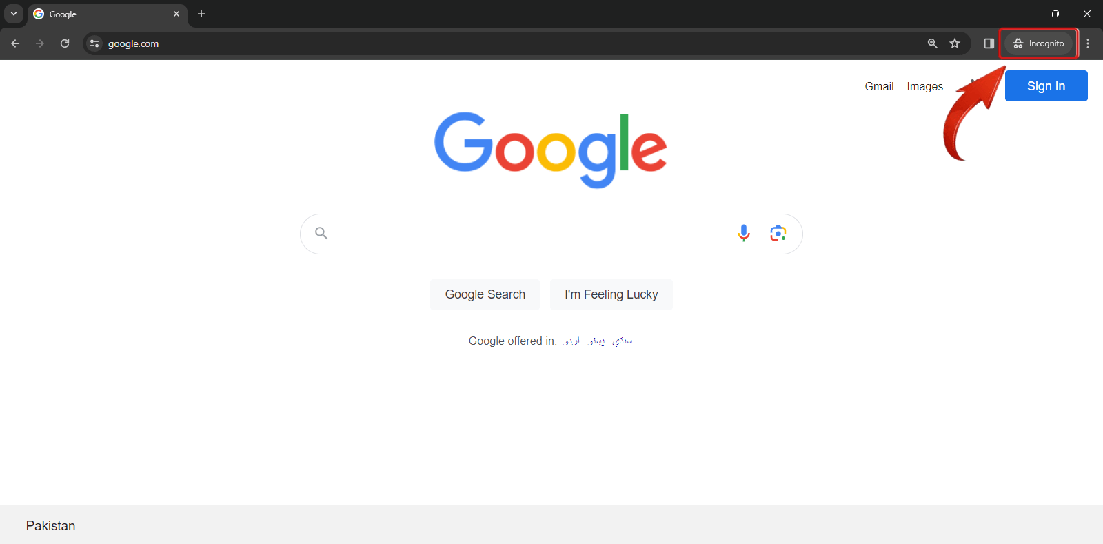 Google Chrome New incognito window open PDF