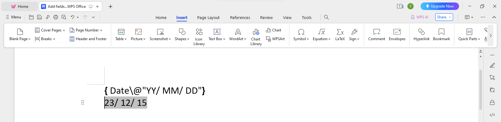  WPS Office Date-Time Format Switch