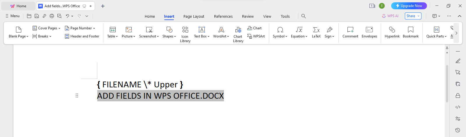 WPS Office Upper Format Switch