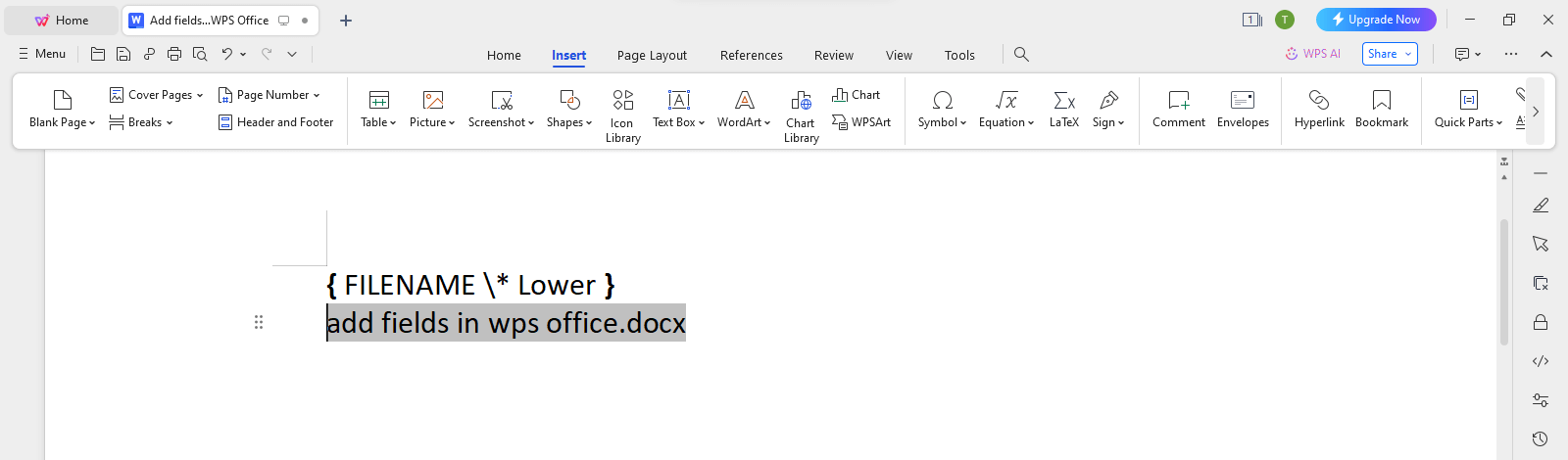  WPS Office Lower Format Switch