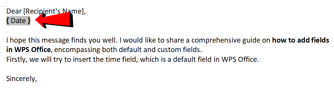 WPS Office insert field type within braces