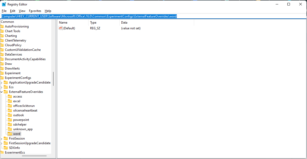 Window 11 Registry Editor
