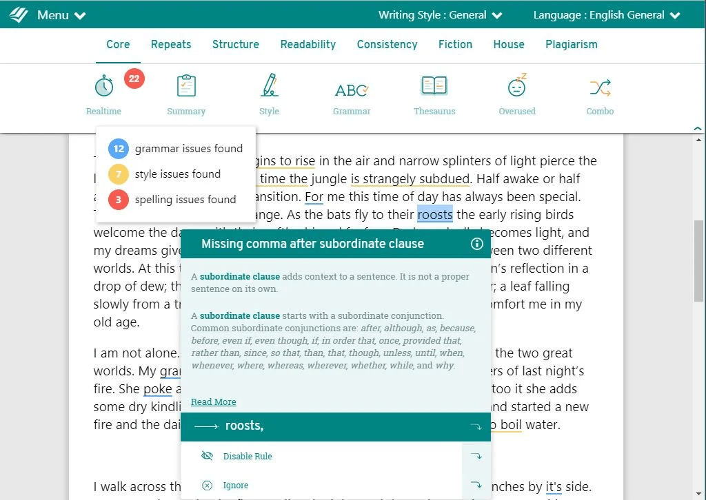 ProWritingAid User Interface