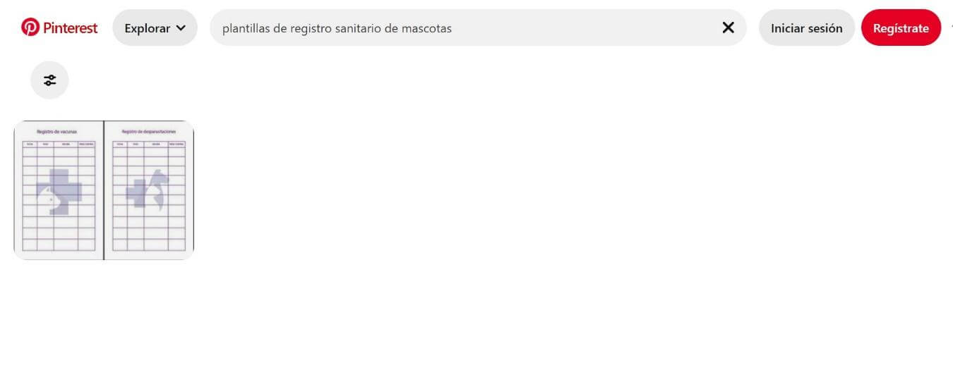 Plantillas de Registro Sanitario de Mascotas de Excel para Imprimir