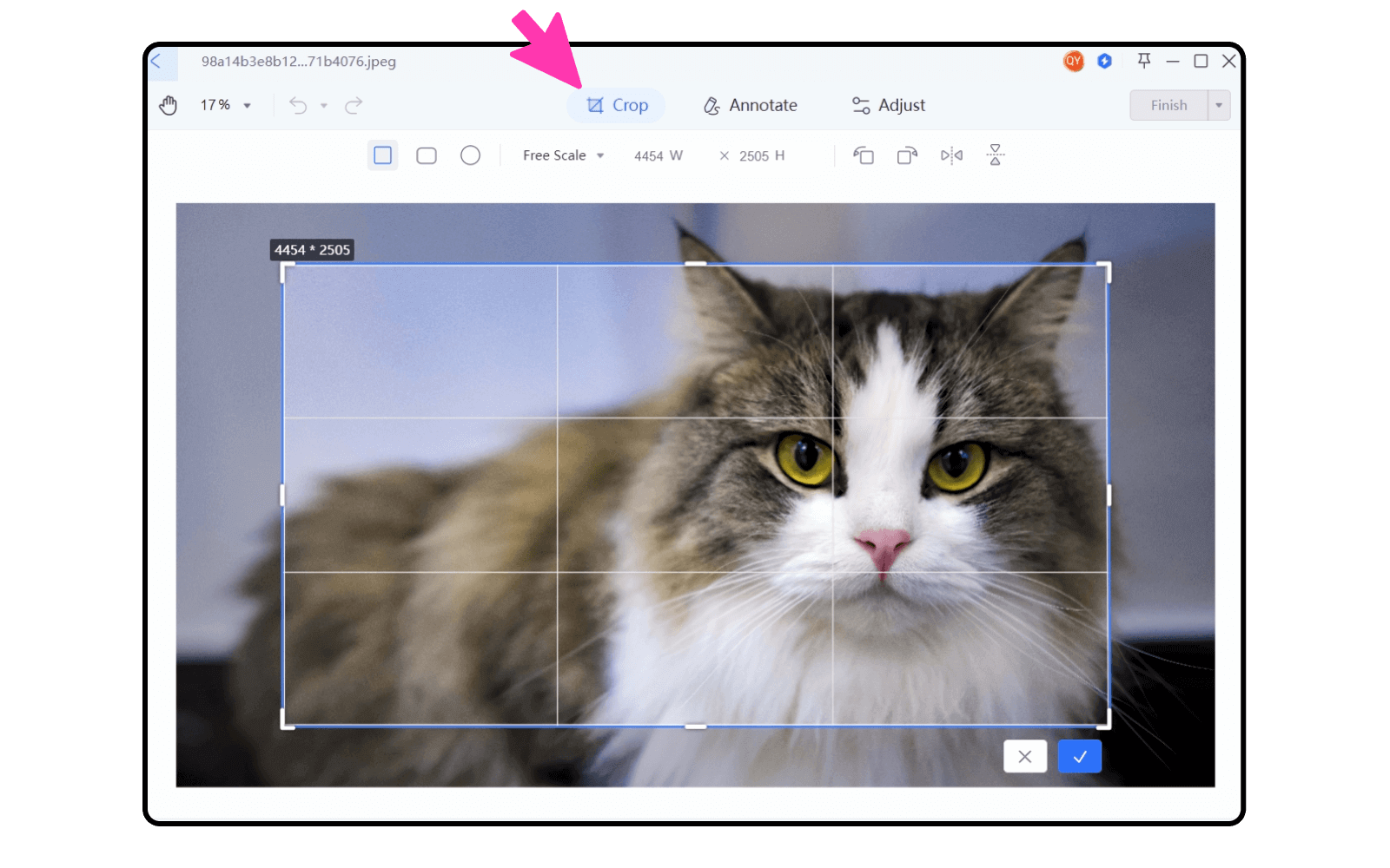 ¿Cómo Editar Imágenes en los Documentos?