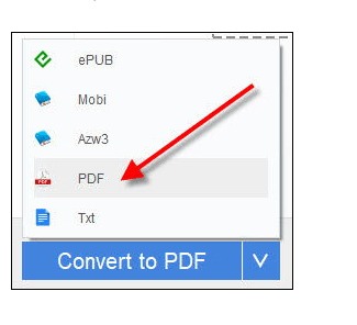 Captura de pantalla de la función de conversión de Epubor