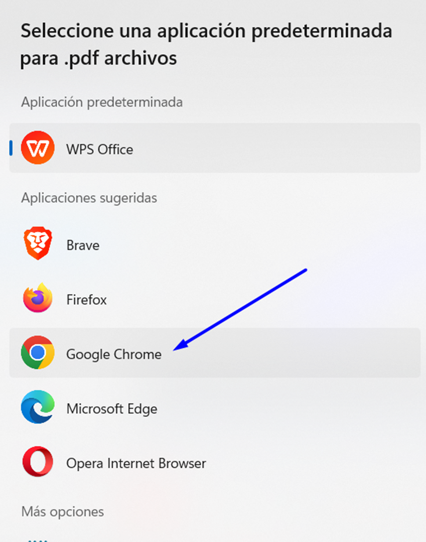 Elige ‘Google Chrome’.