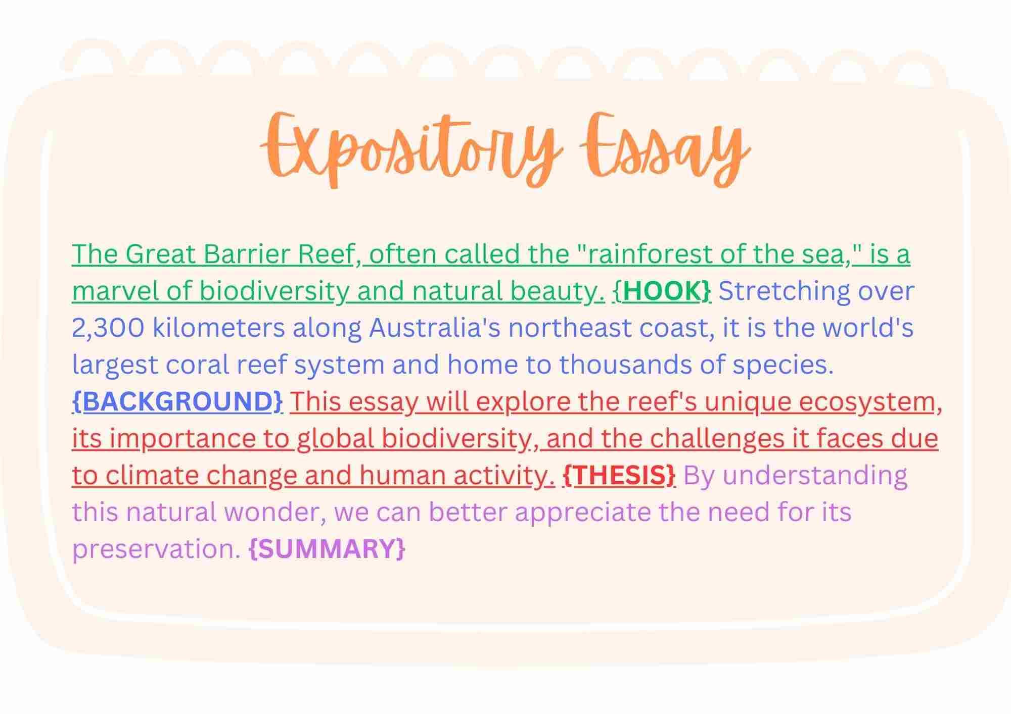 Пример объяснительного эссе