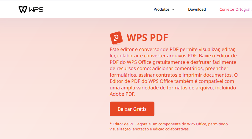página de download do PDF do WPS