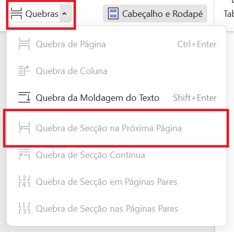 Opções de Quebra de Seção - Próxima Página