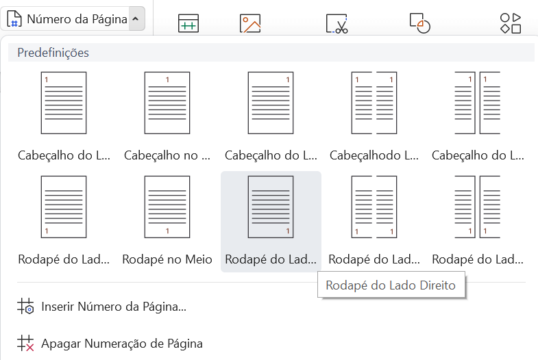 adicionando numeração da página