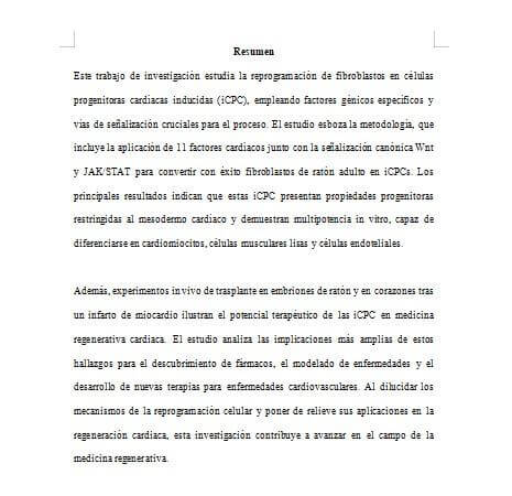 Ejemplo de un Resumen Informativo