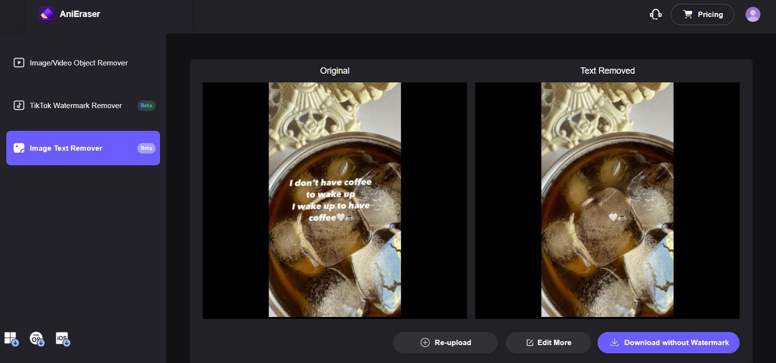 Interface do Removedor de Texto AI AniEraser