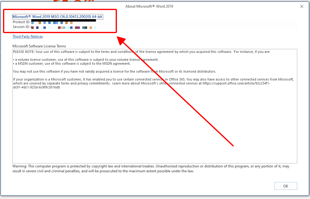 detailed version of your installed Microsoft Office