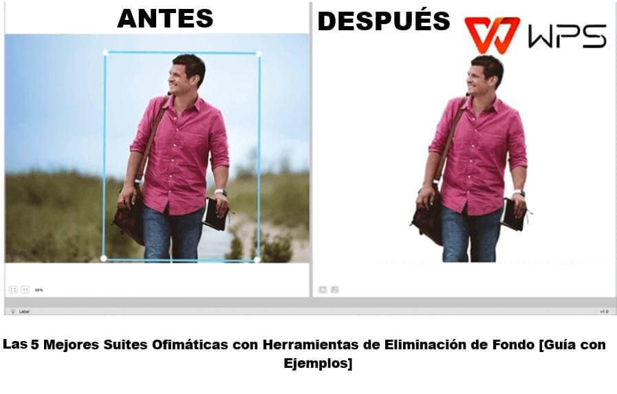 Las 5 Mejores Suites Ofimáticas con Herramientas de Eliminación de Fondo [Guía con Ejemplos]