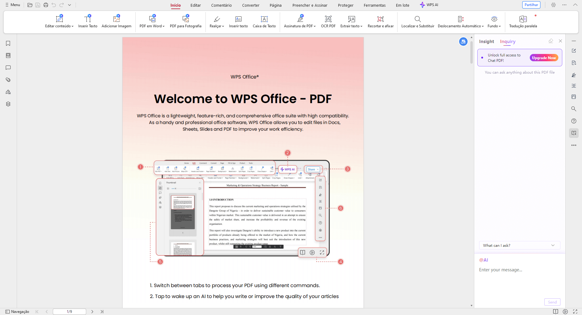 WPS Chat PDF