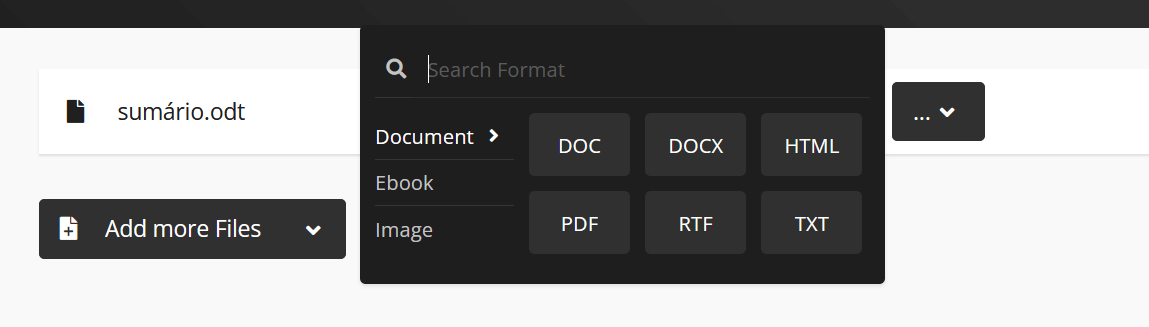 seleção de formato no conversor