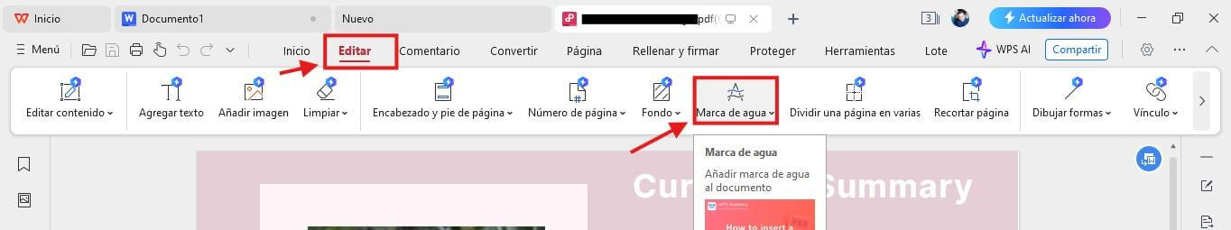 Editar PDF con WPS PDF