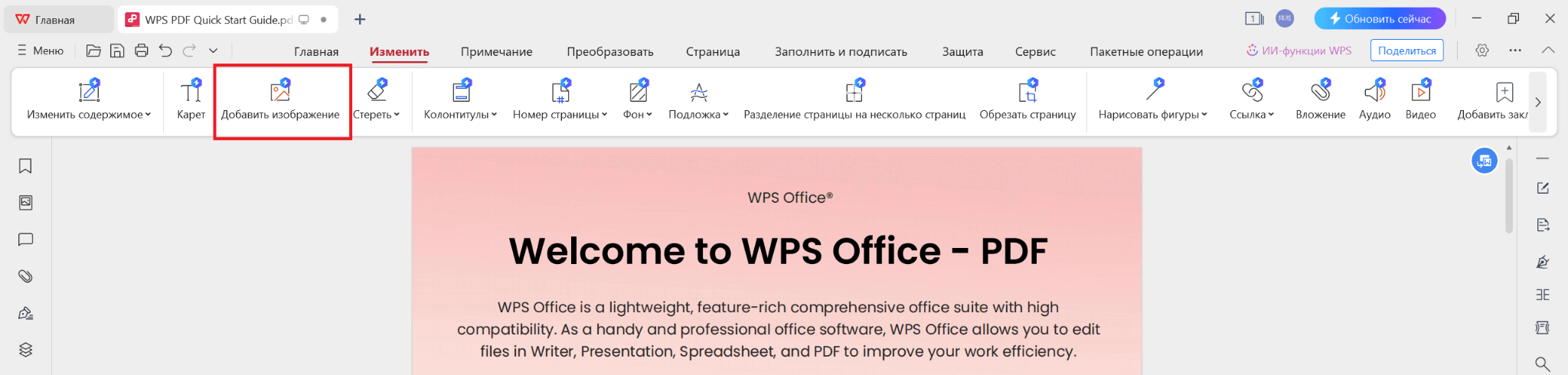 WPS PDF